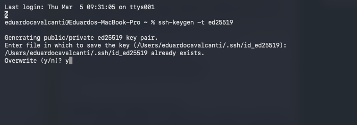 Terminal mostrando Overwrite (y/n)? y